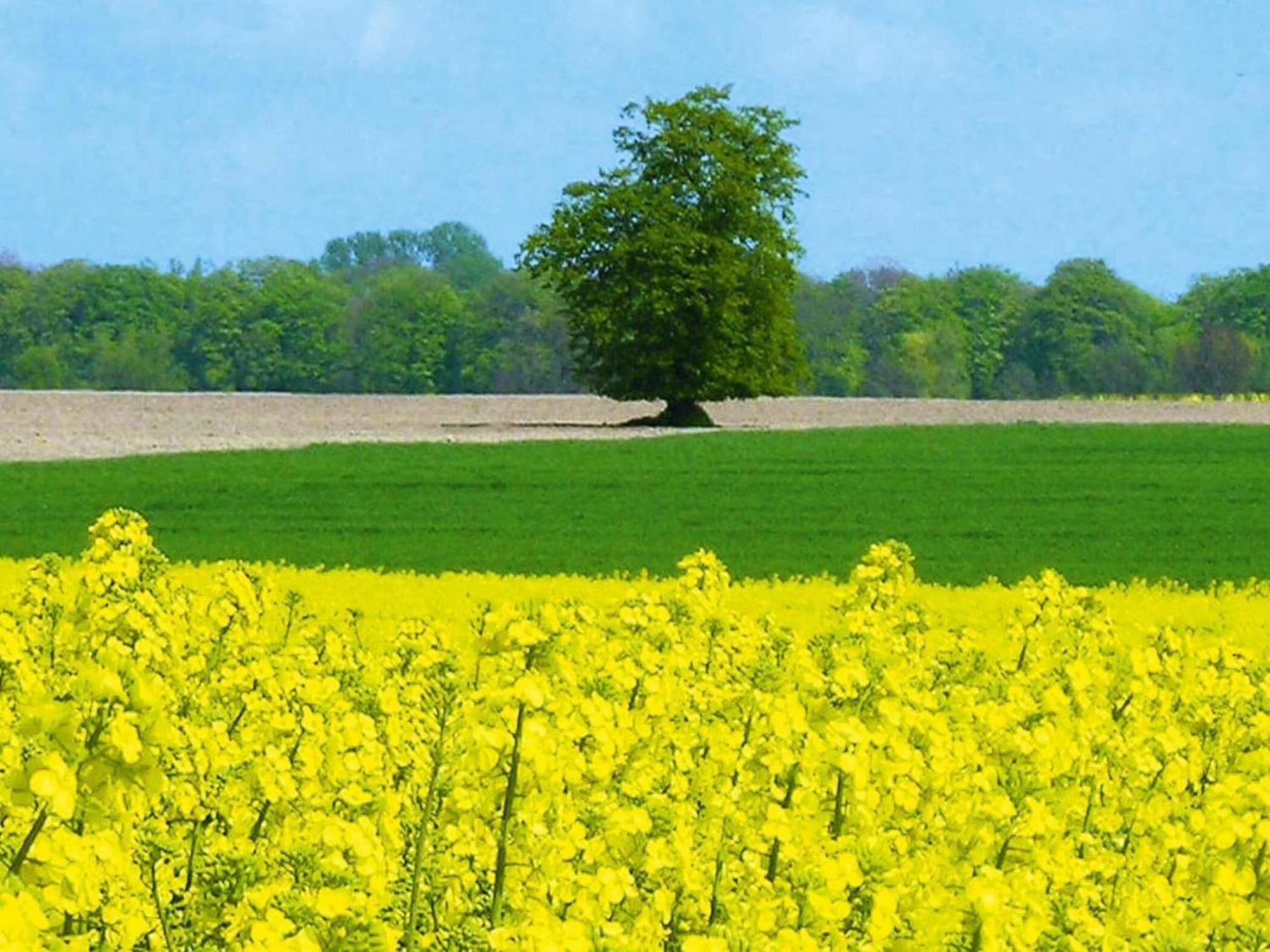 Ferienwohnung In Schwerin Schwerin  Kültér fotó
